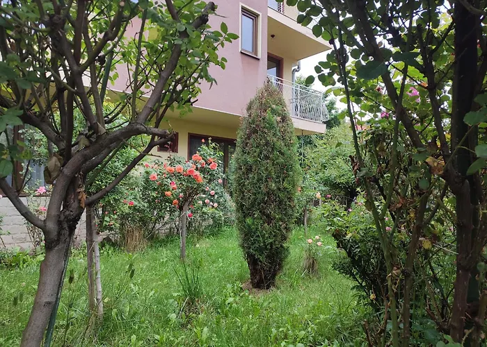 M-stone * バンスコ